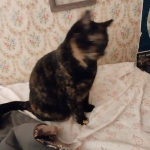 Meet your Posher, Blake